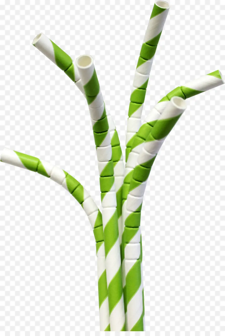 Pajitas De Papel，Verde PNG