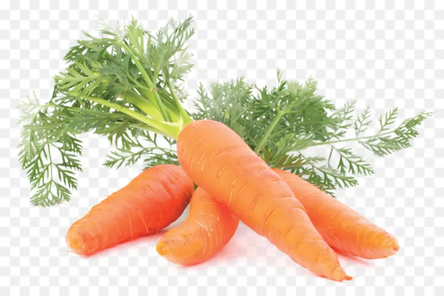 Zanahoria，Alimentos Orgánicos PNG