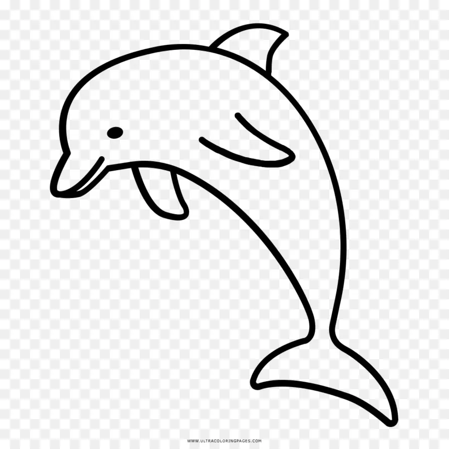 Dolphin，Dibujo PNG