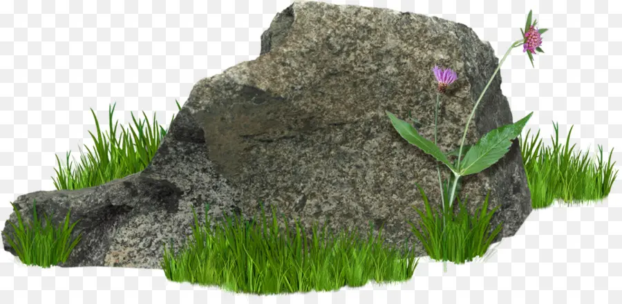 Rock，Piedra PNG