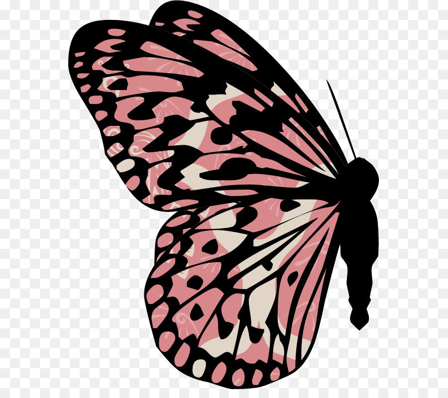 Mariposa，Animación PNG