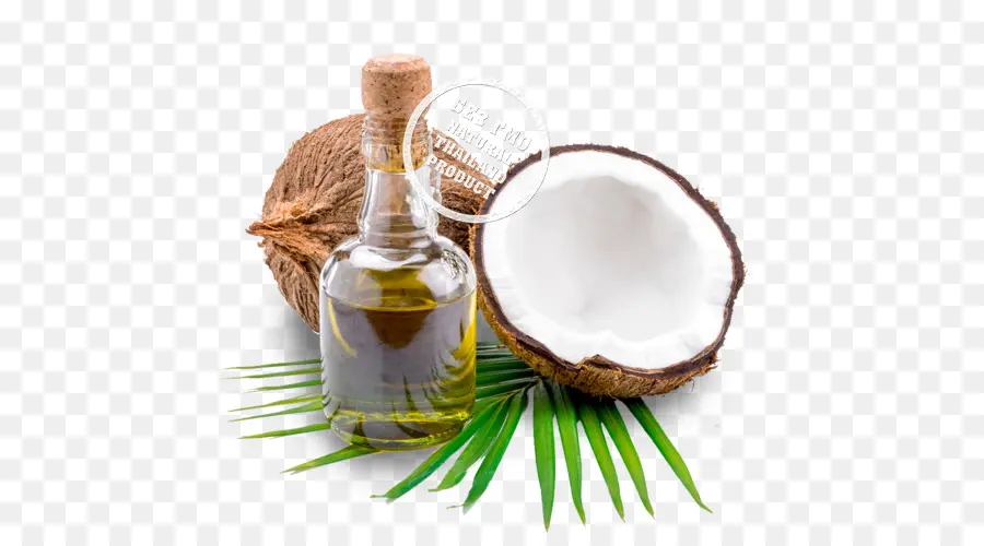 Coco，Aceite PNG