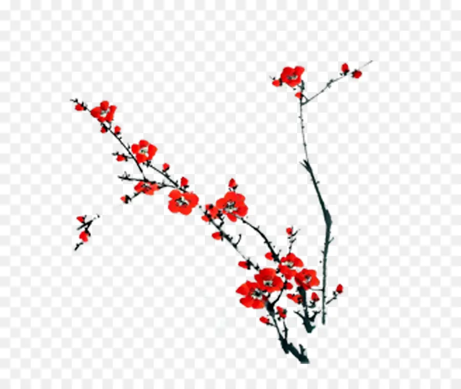 De Rojo Y Blanco Extracto De Flores De Ciruelo，La Flor Del Ciruelo PNG