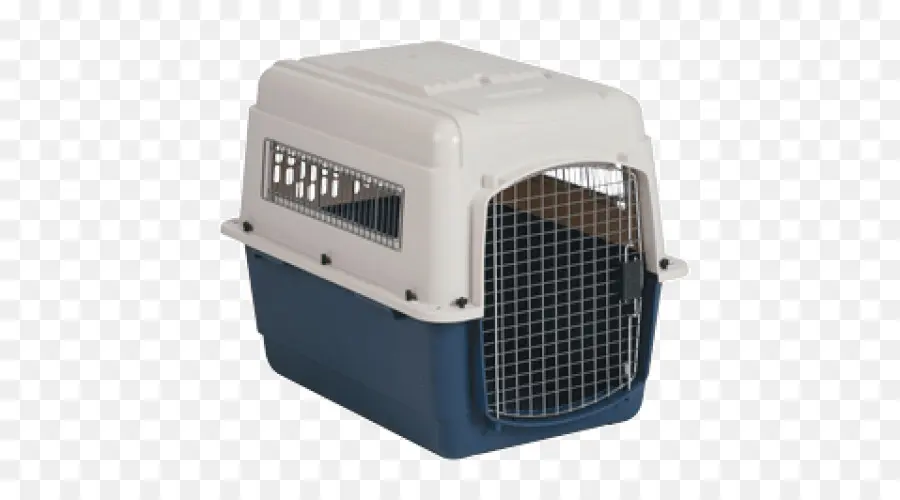 Perro，Cajas De Perro PNG