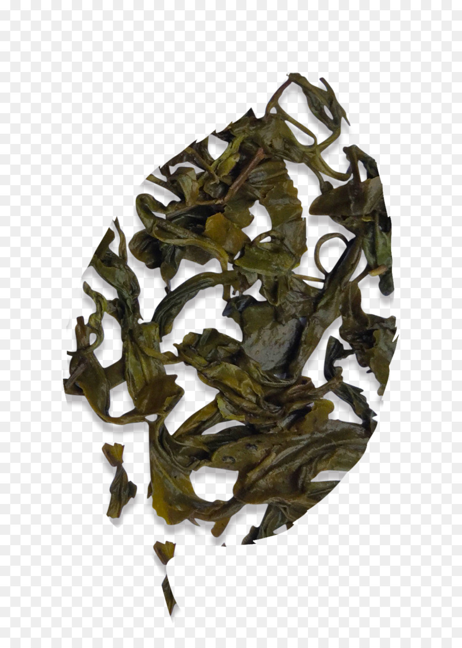 Hojas De Té，Verde PNG