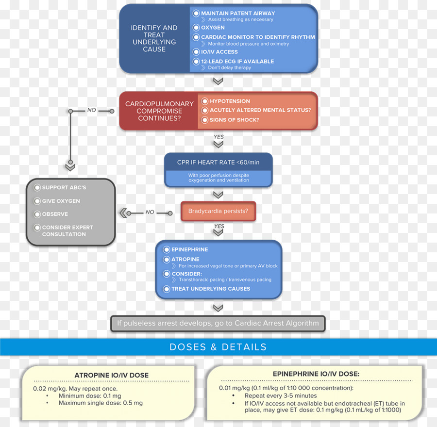 Diagrama De Flujo，Médico PNG