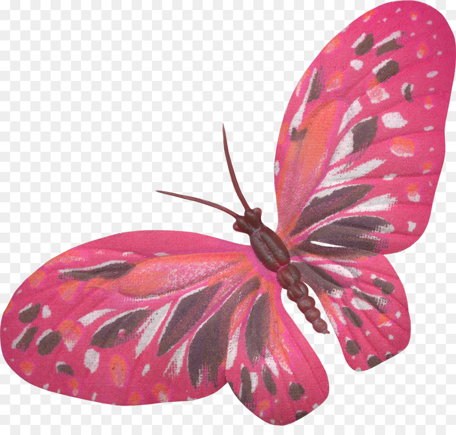 Mariposa，Alas PNG