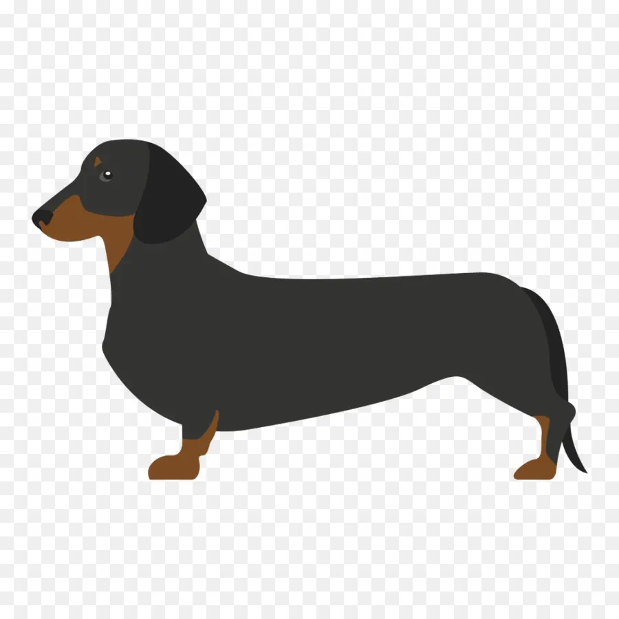 Perro Tejonero，Espeluznante PNG