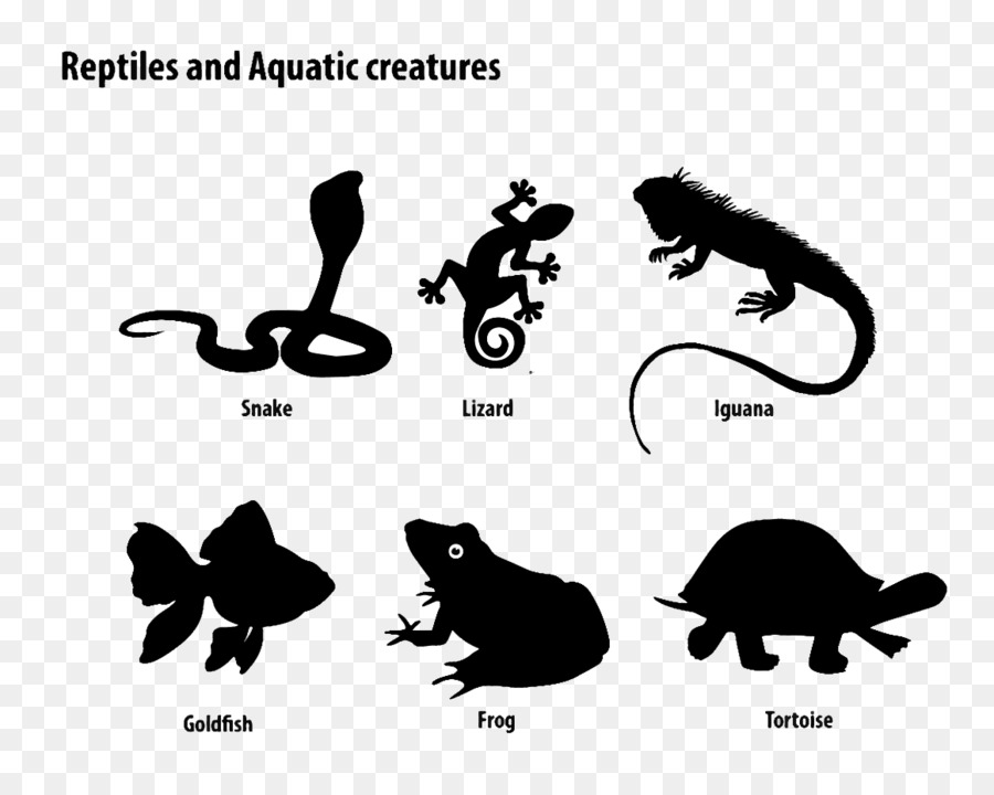 Gato，Reptiles PNG