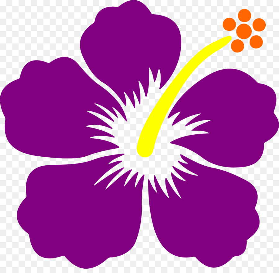 Hibisco Morado，Florecer PNG