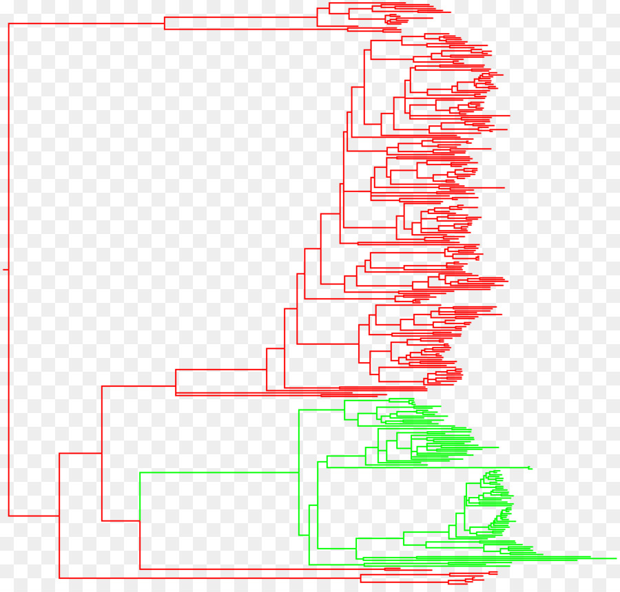 Hipopótamo，Cetartiodactyla PNG