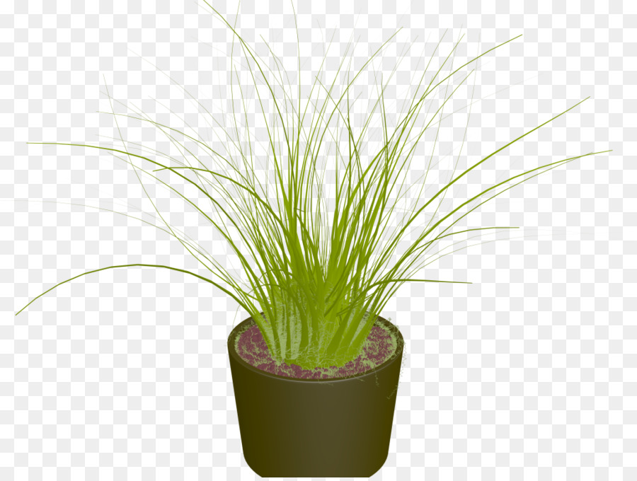 Planta En Maceta，Verdor PNG