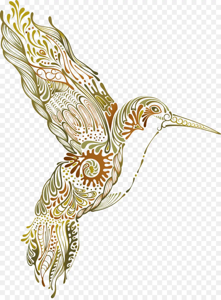 Dibujo，Colibrí PNG