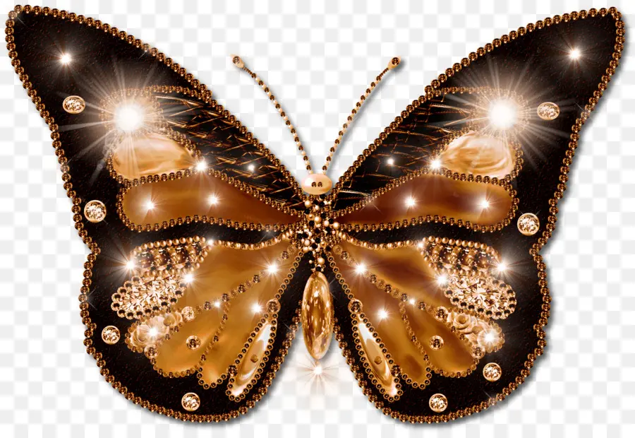 Mariposa，Formatos De Archivo De Imagen PNG