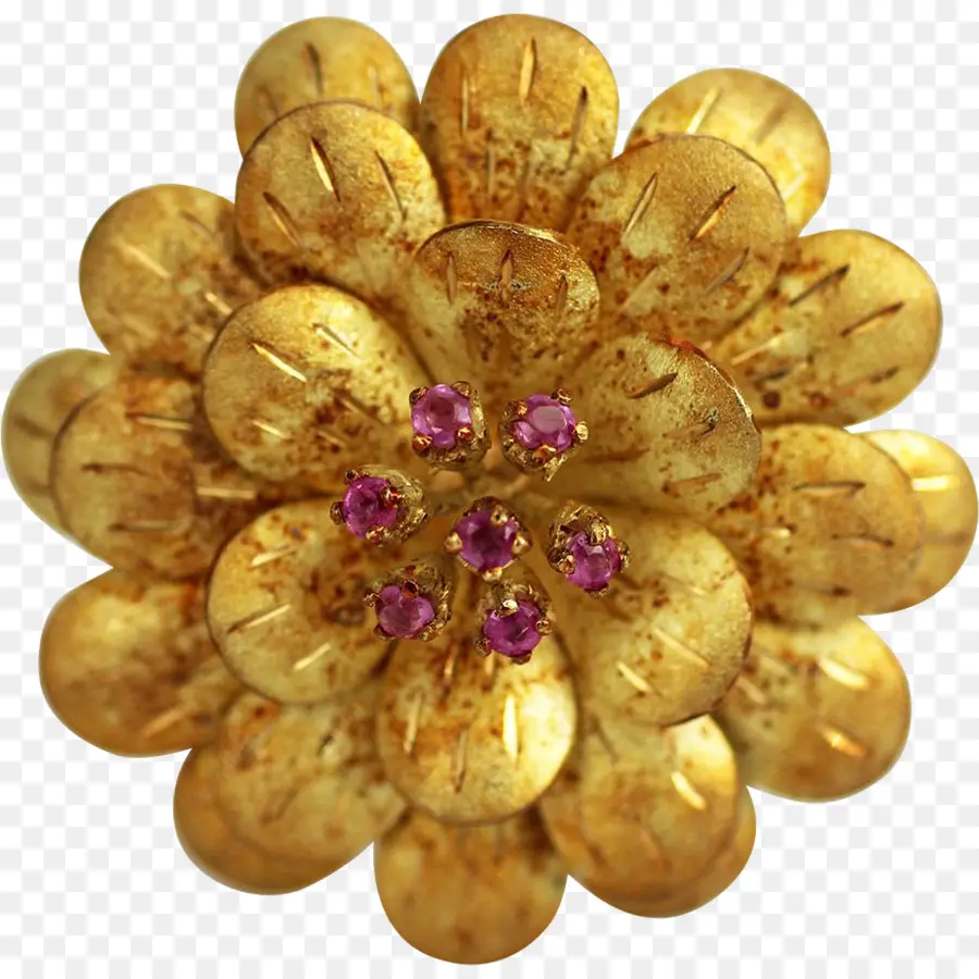 Piedra Preciosa，Broche PNG