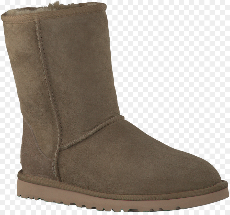 Arranque De Nieve，Zapato PNG