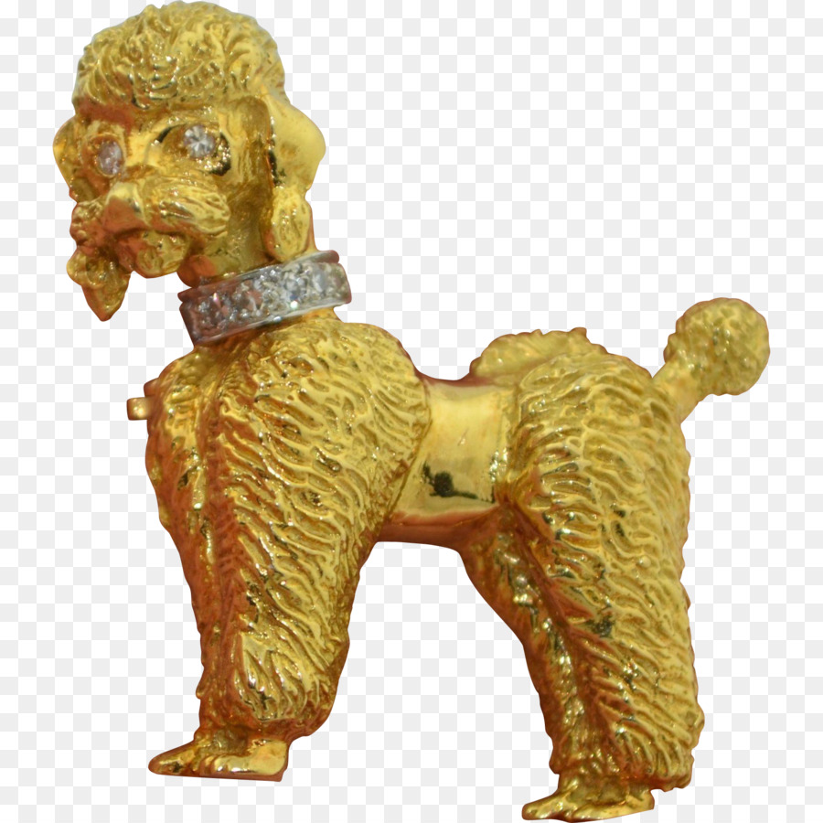 Caniche，Raza De Perro PNG