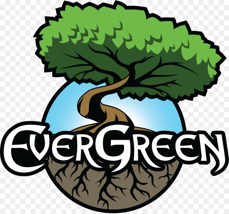 árbol，Evergreen PNG