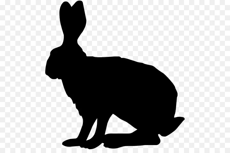 Nacionales De Conejo，Hare PNG