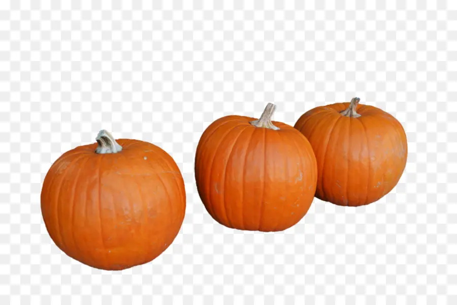 Calabaza，La Fotografía PNG