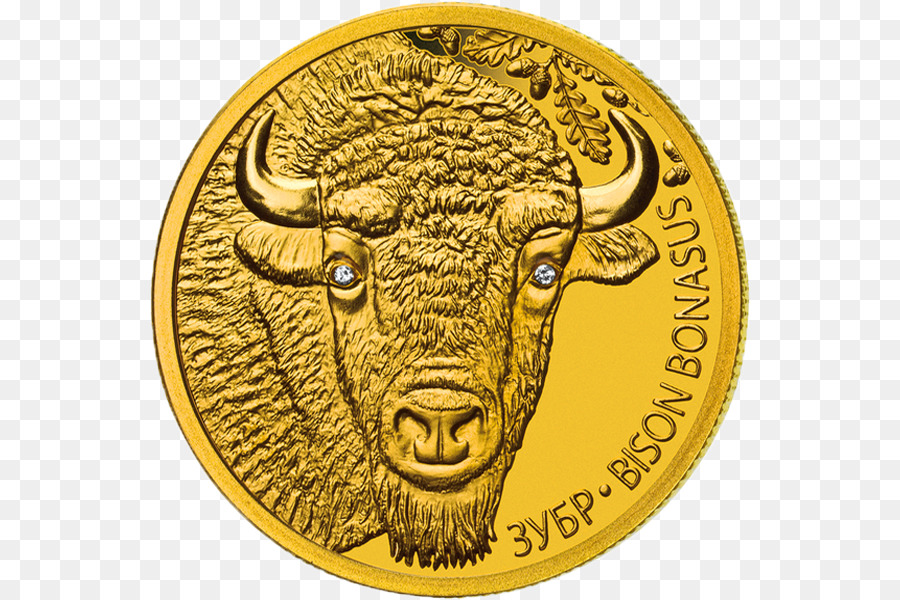 Moneda De Bisonte，Bisonte PNG