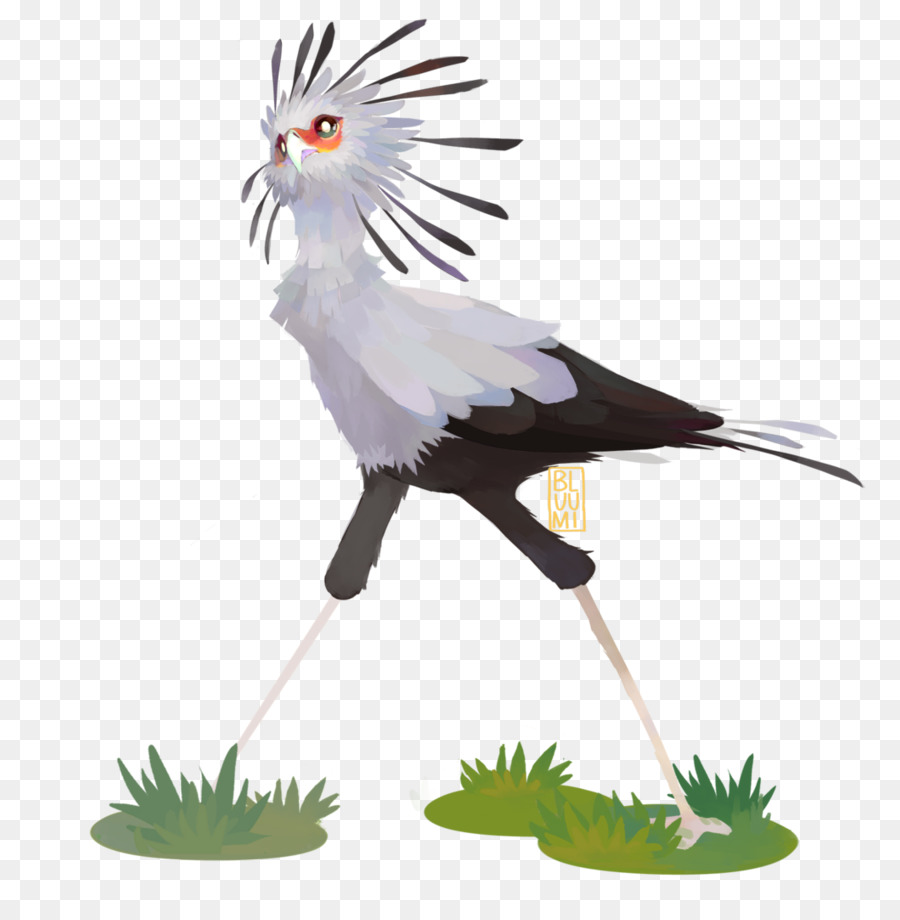 Pájaro，Secretarybird PNG