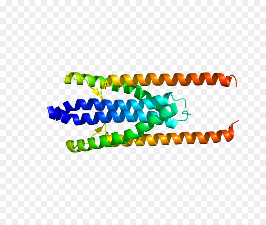 Cinta Amarilla，Retorcido PNG