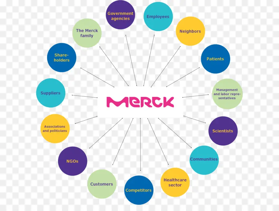 Organización，Grupo De Merck PNG