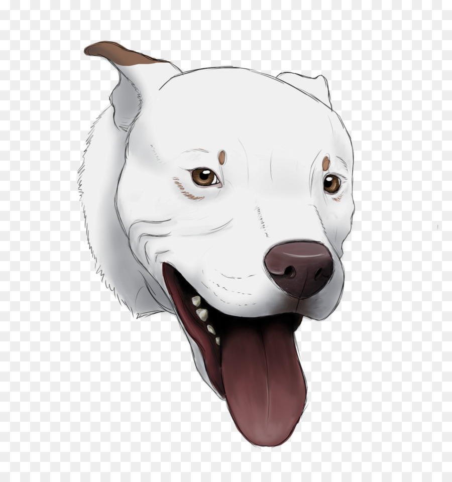 Cabeza De Perro，Mascota PNG