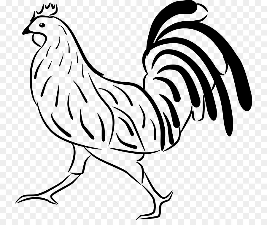 Pollo，Gallina PNG