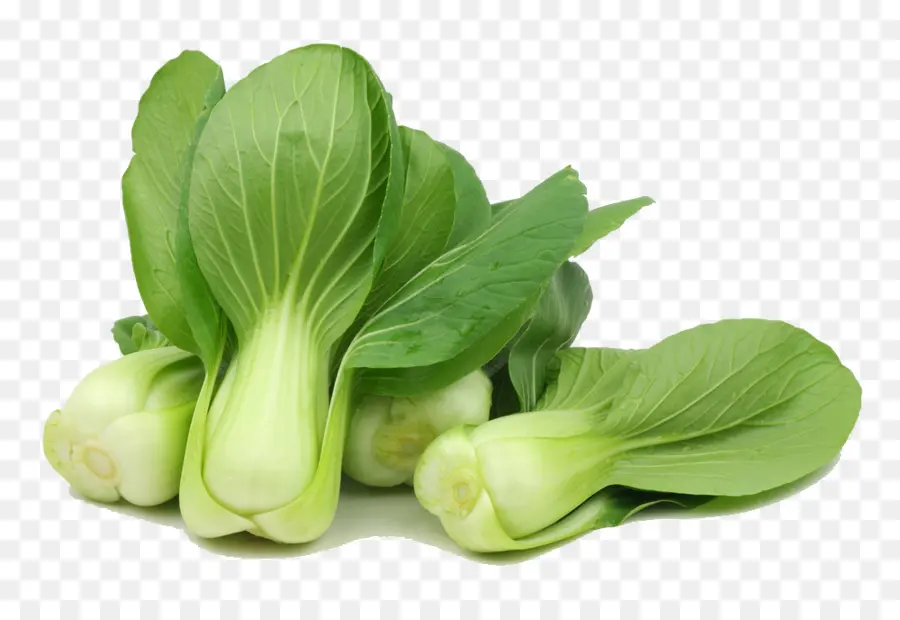 Bok Choi，Verde PNG