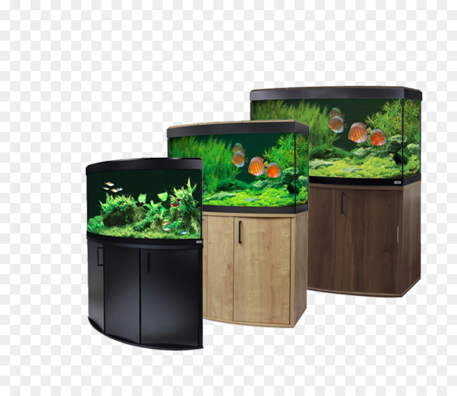 Acuario，Acuarios PNG