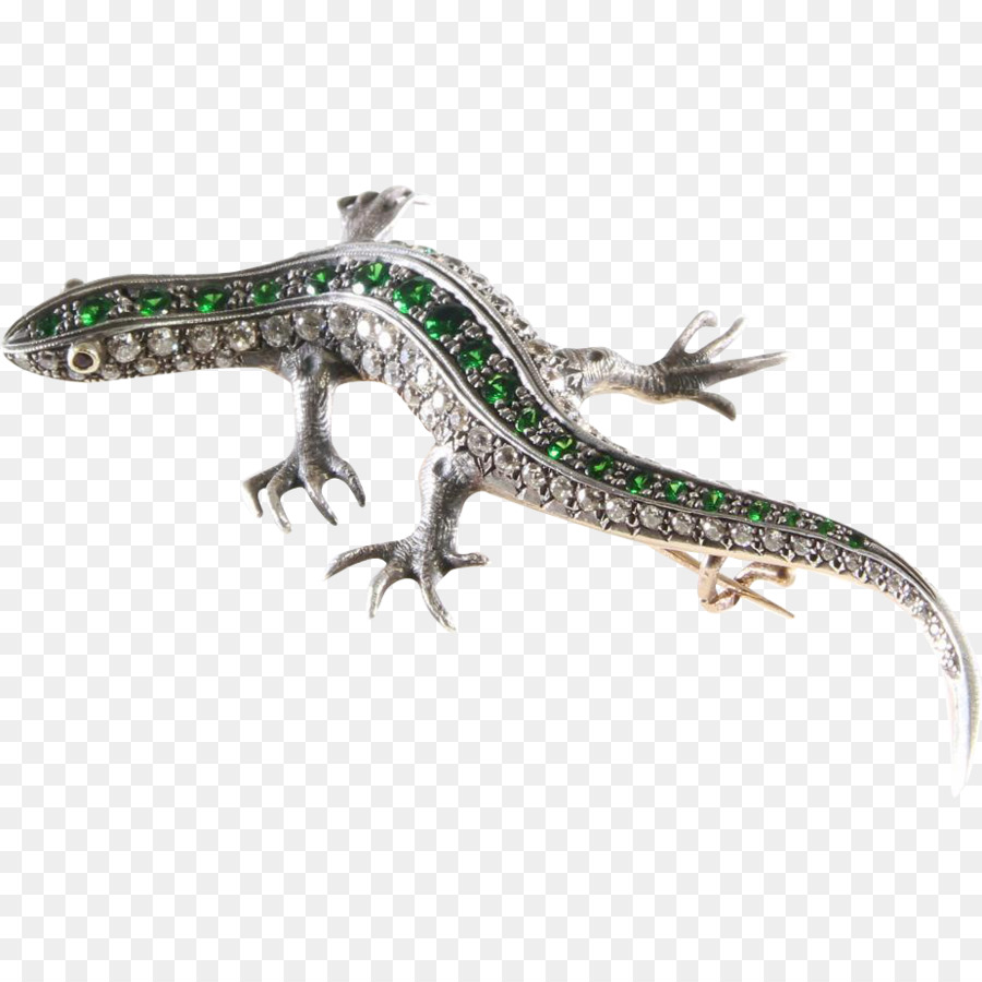 Salamandra，Gecko PNG