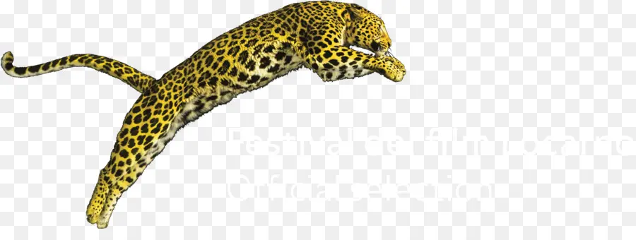 Leopardo，Felino De Gran Tamaño PNG