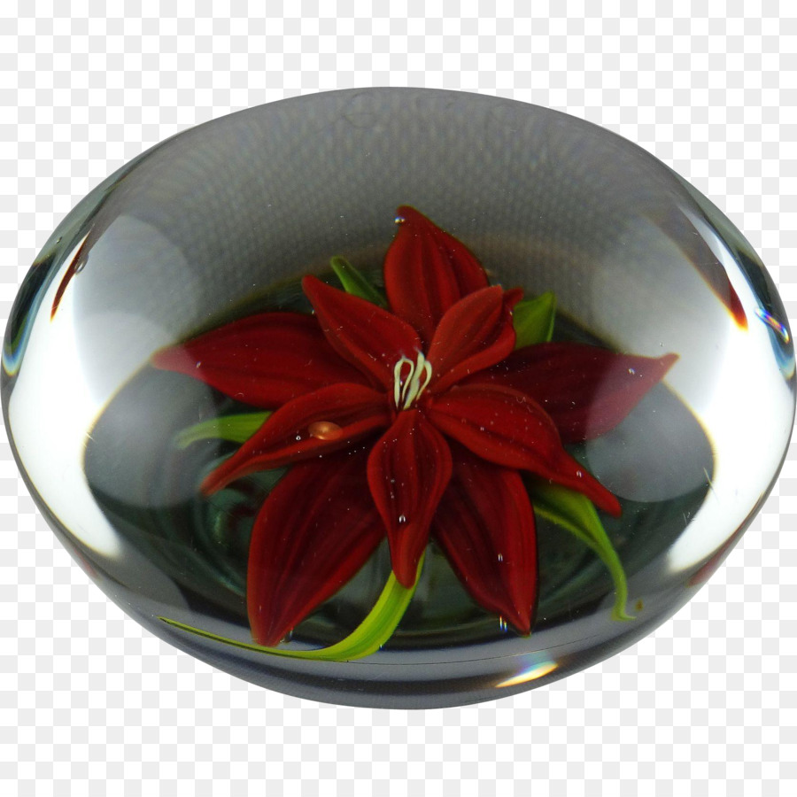 Pisapapeles，La Flor De Pascua PNG