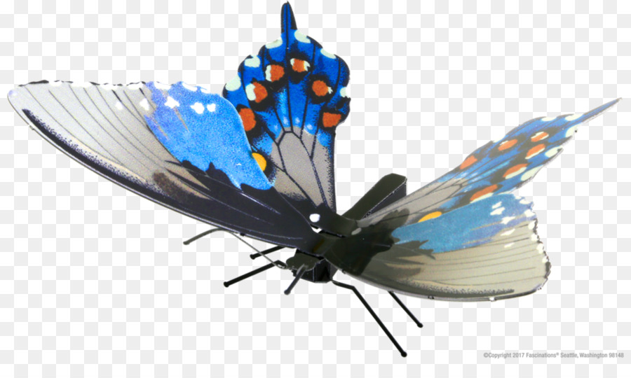 Mariposa，Lycaenidae PNG