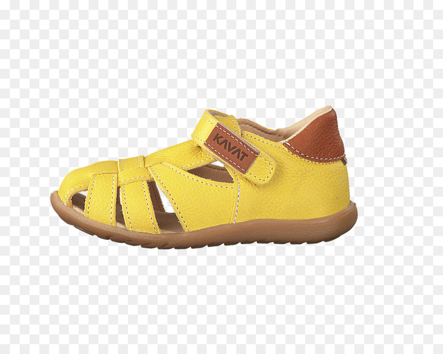 Zapatilla，Zapato PNG