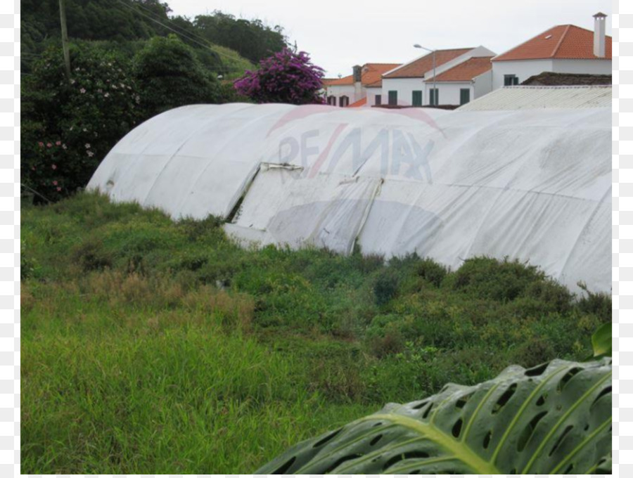 La Propiedad，Terreno PNG