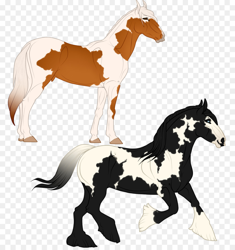 Caballos，Potro PNG