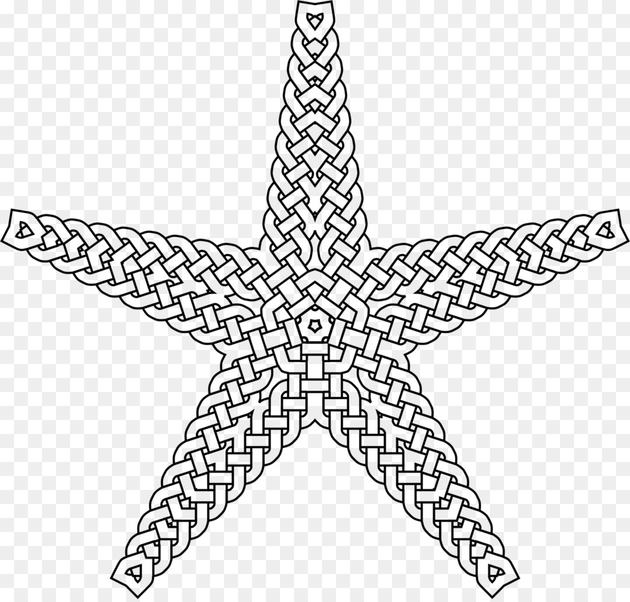 Estrella De Mar，Perdido Océano De Una Tinta De Aventura Y Libro Para Colorear PNG