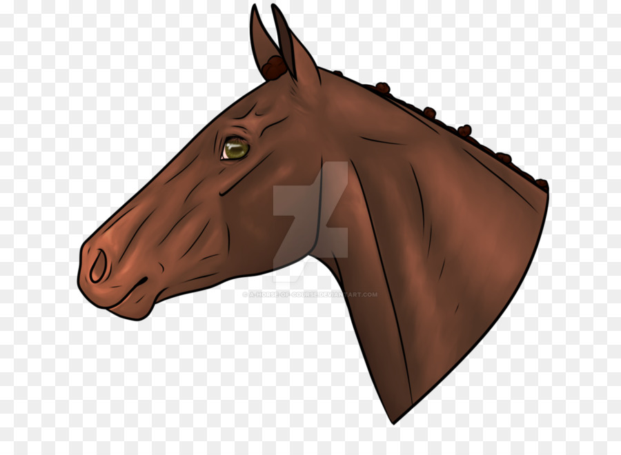 Mustang，Mane PNG