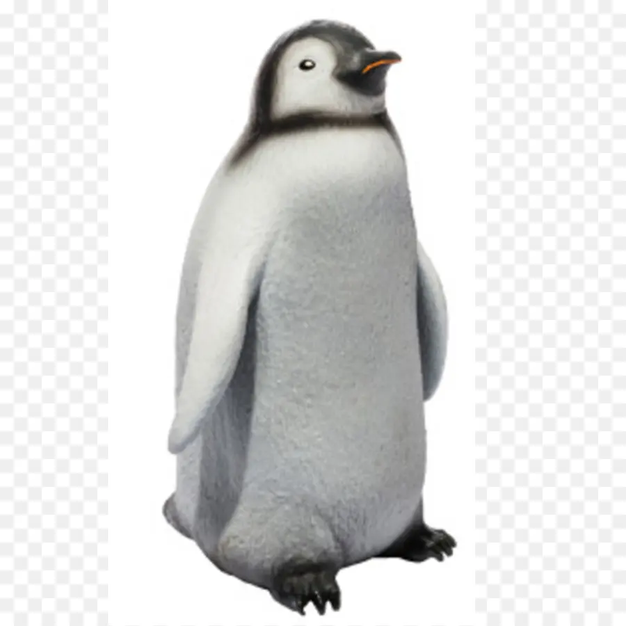 Pingüino Rey，Penguin PNG
