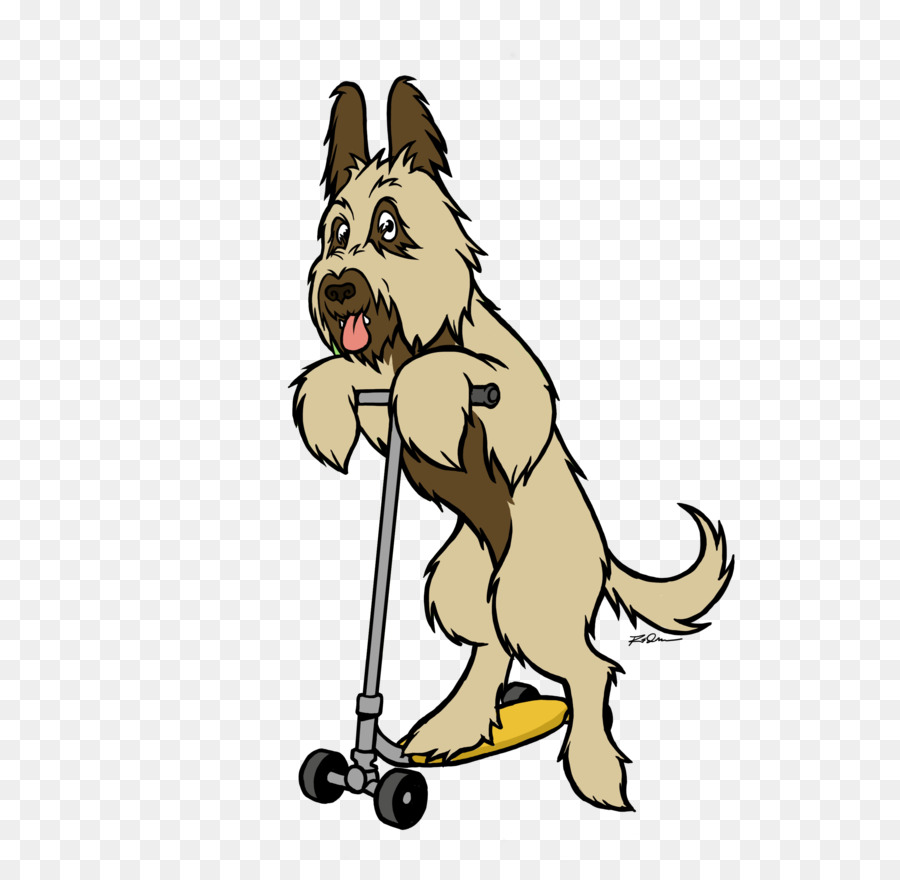 Raza De Perro，Briard PNG