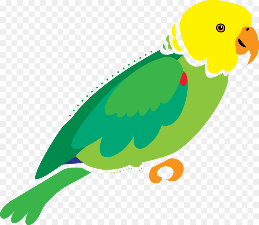 Loro Azul，Animal PNG