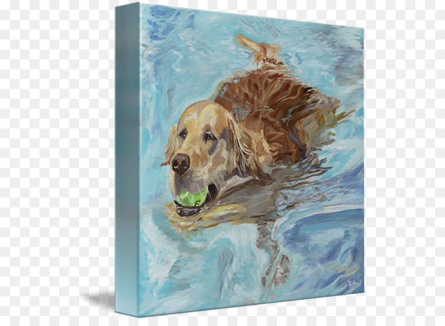 Golden Retriever，Labrador Retriever PNG