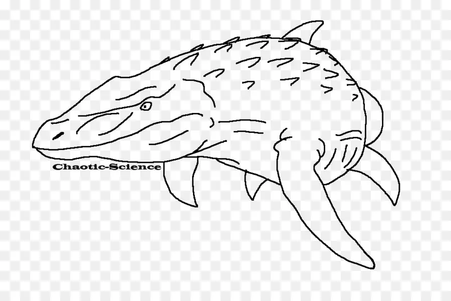 Mosasaurus，Arte De Línea PNG