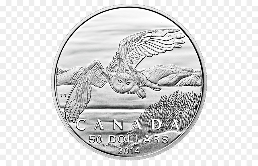 Moneda Canadiense，Búho PNG