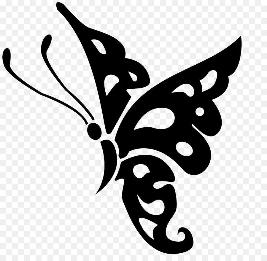 Mariposa，En Blanco Y Negro PNG