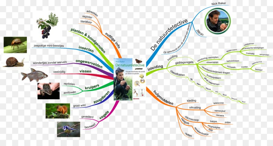 Mapa De La Mente，Buzan Del Imindmap PNG