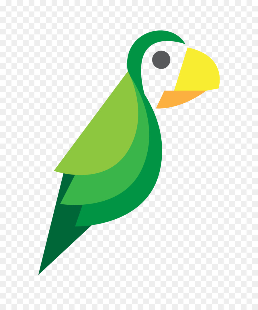 Loro，Verde PNG